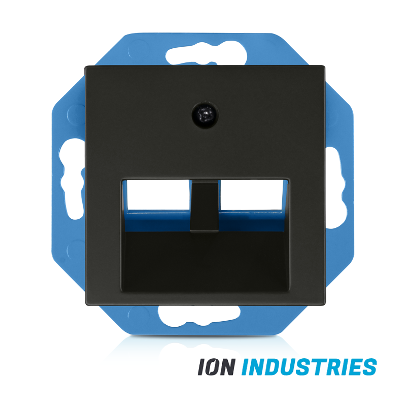 ION INDUSTRIES | Modular Jack 30° 2-voudig met Centraalplaat V1/J1 Mat Zwart