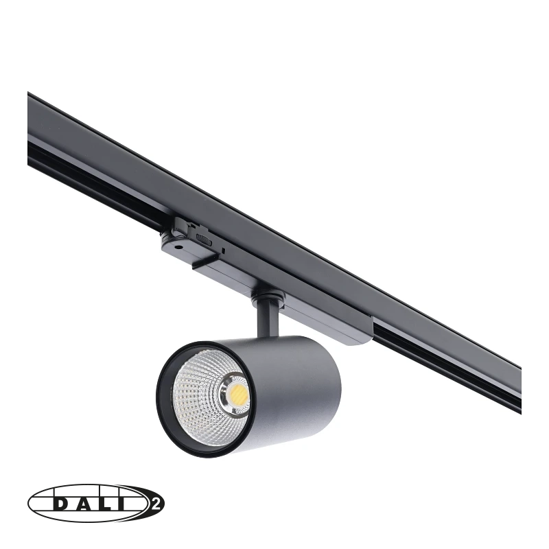 DALI 3-FASE RAILSPOT | ROSALIN | 10W-20W-30W | ZWART | DIMBAAR | CCT