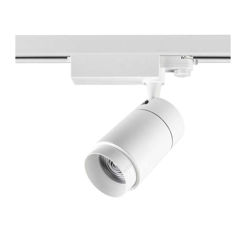 3-FASE RAILSPOT ORCUS ZOOMABLE 30W WIT - 4000K