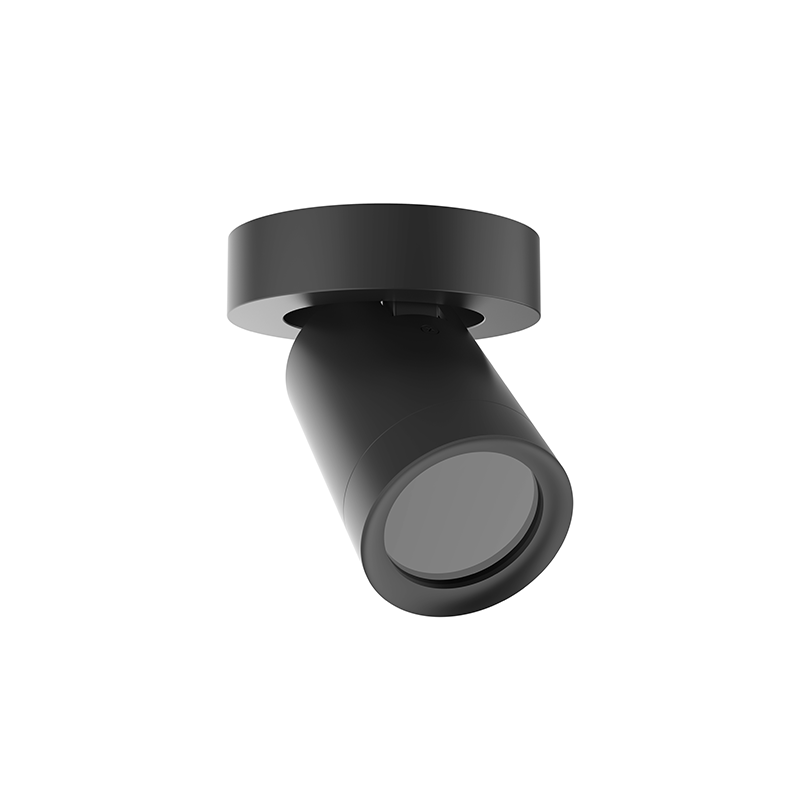 PLAFONDARMATUUR | LEXI | ROND | 1xGU10 | ZWART