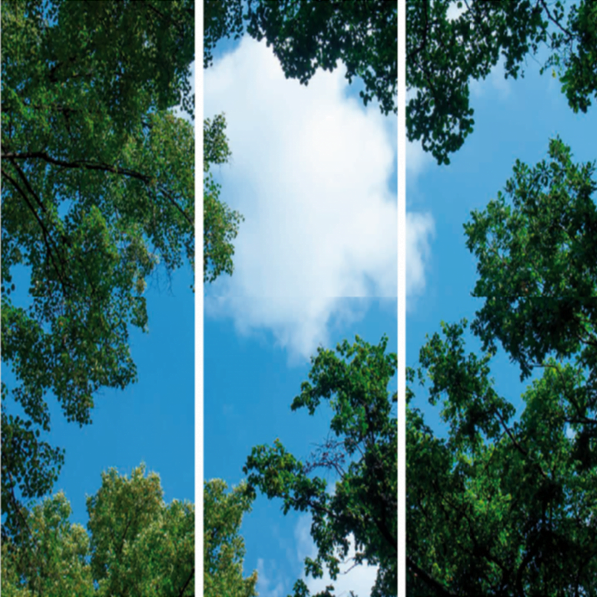 FOTOPRINT afbeelding wolk-bos verdeeld over 3 panelen 1195 x 595 mm